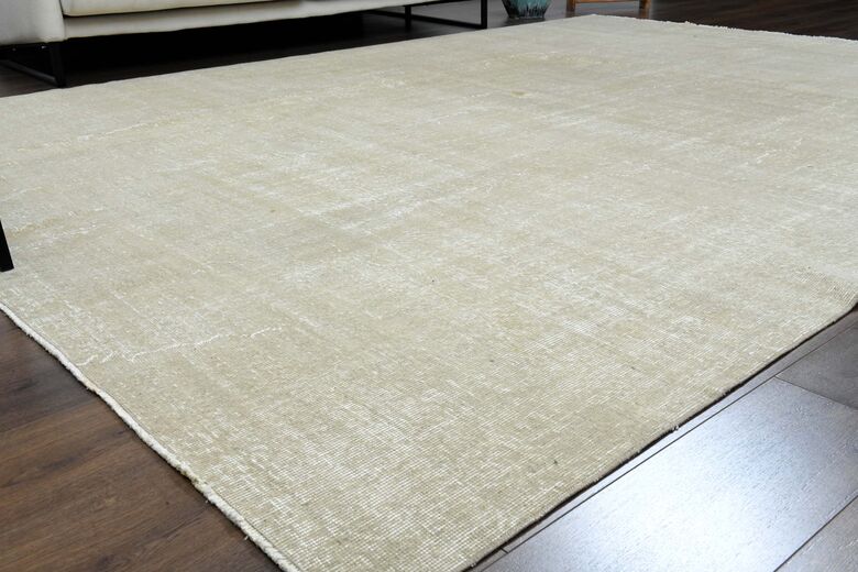 Distressed Beige Area Rug