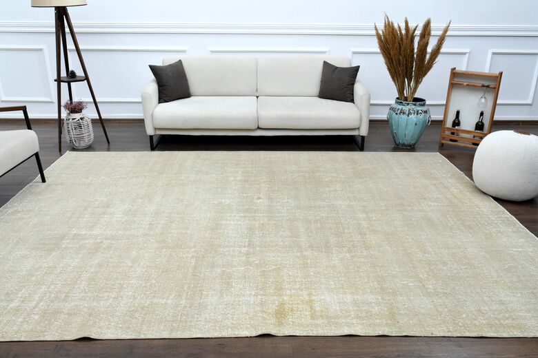 Distressed Beige Area Rug