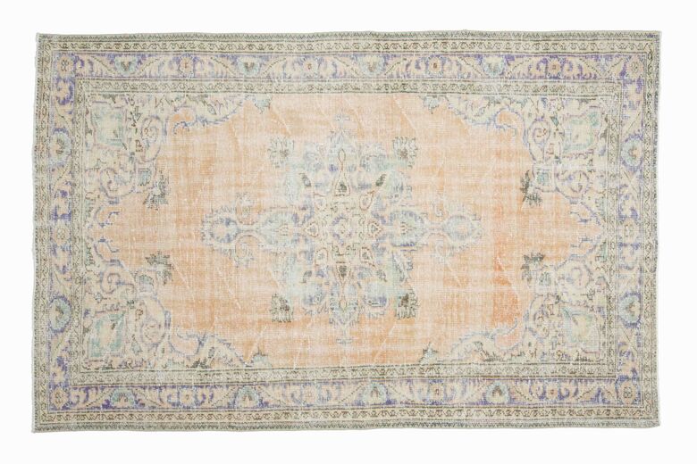 Oriental Vintage Area Rug